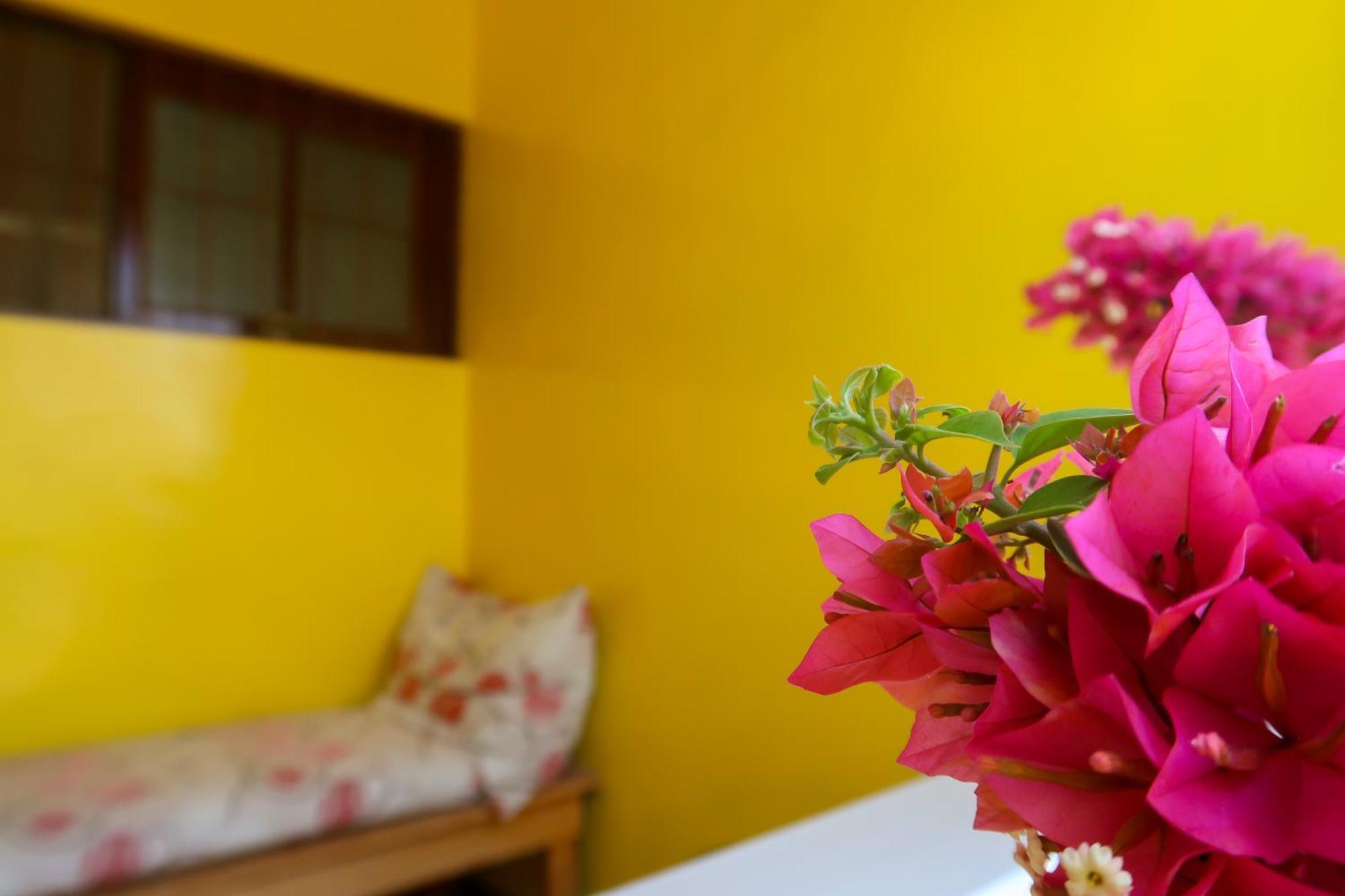 Bed and Breakfast O Jardim Do Vinho, Ac Praia Exteriér fotografie